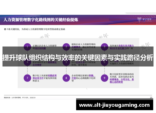 提升球队组织结构与效率的关键因素与实践路径分析